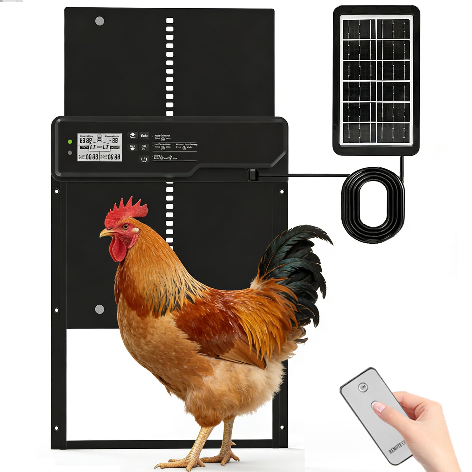 Solar Powered Automatic Chicken Coop Door | Smart Backyard Farm Access System