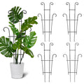 Indoor Plant Trellis for Potted Plants (4 Pack) | Modern Support for Vining Houseplants